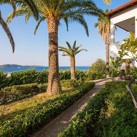 Alexandros Palace منتجع 5*