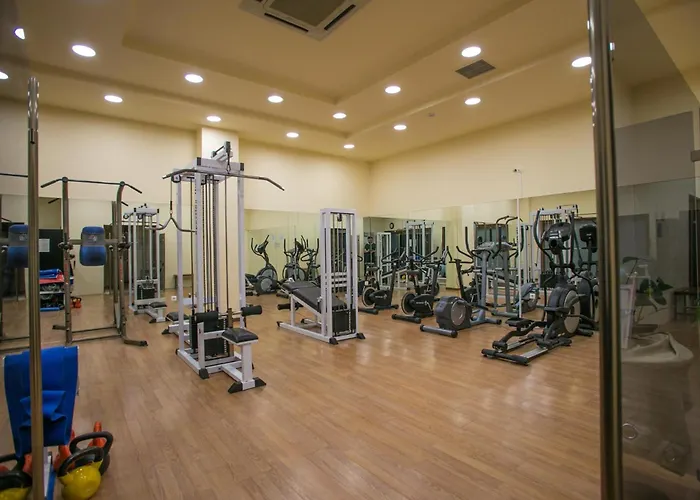 亚历山德罗帕丽斯酒店