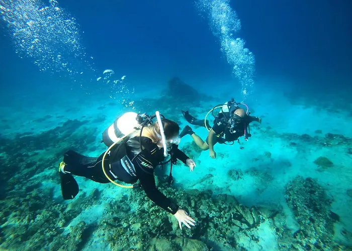 亚历山德罗帕丽斯酒店